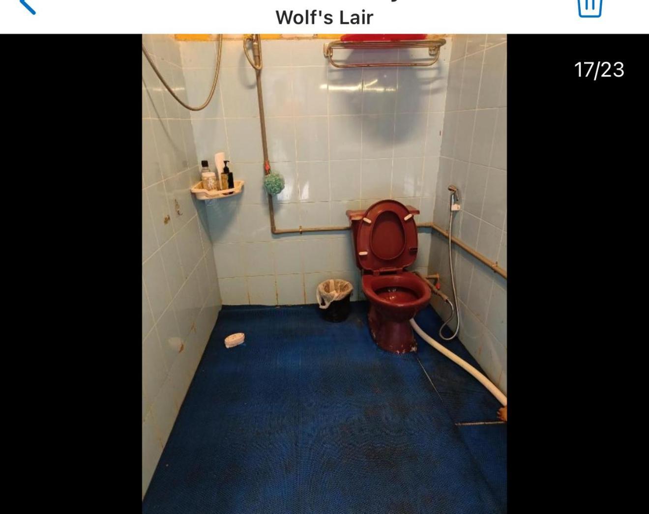 ホテル Wolf'S Lair ダラット エクステリア 写真